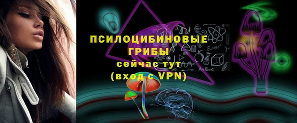 PSILOCYBIN Мегион