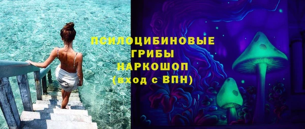 дживик Медвежьегорск