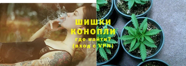 PSILOCYBIN Мегион